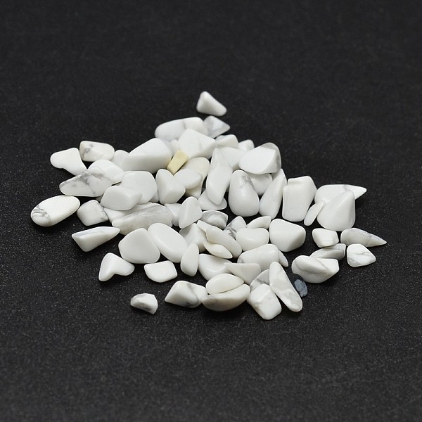 

PandaHall Howlite Chip Beads, No Hole/Undrilled, 2~8x2~4mm, about 340pcs/20g Howlite Chip