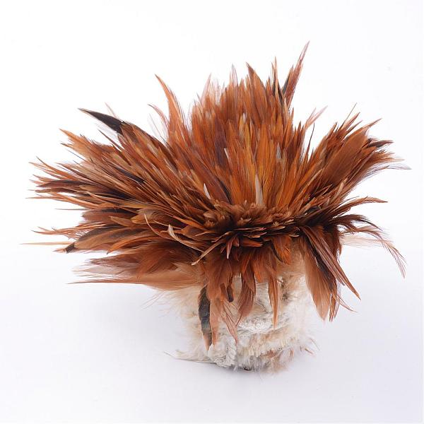 Chicken Feather Cos… - image