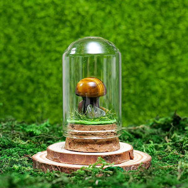 

PandaHall Glass Dome Cover with Natural Tiger Eye Mushroom Inside, Cloche Bell Jar Terrarium with Cork Base, Micro Landscape Garden...