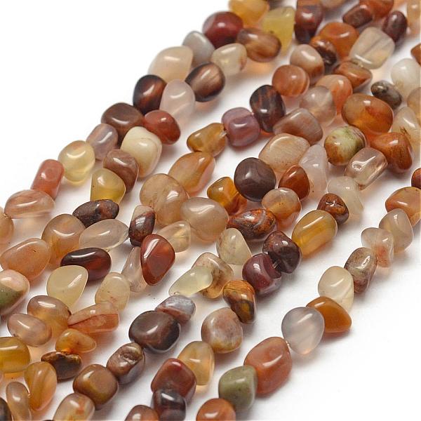 Natural Petrified W… - image
