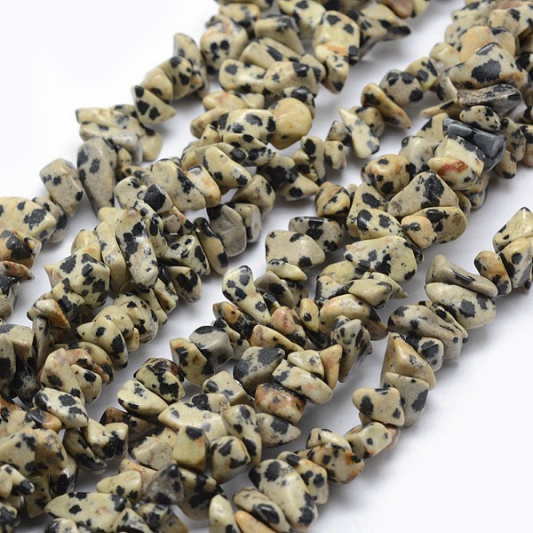 

PandaHall Natural Dalmatian Jasper Beads Strands, Chip, 5~8mm, Hole: 1mm, about 33 inch(84cm) Dalmatian Jasper Chip
