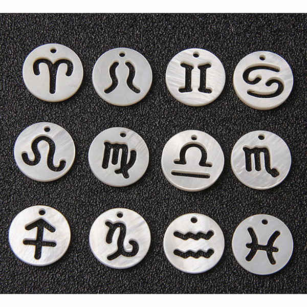 

PandaHall Natural Freshwater Shell Charms, Hollow, 12 Constellation/Zodiac Sign, Flat Round, 12 Chinese Zodiac Signs, 12mm, 12pcs/set...