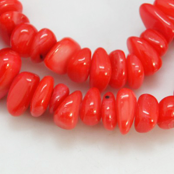 

PandaHall Natural Shell Beads Strands, Dyed, Chips, Red, 5~12x5~8x1~6mm, Hole: 1mm Freshwater Shell Chip Red