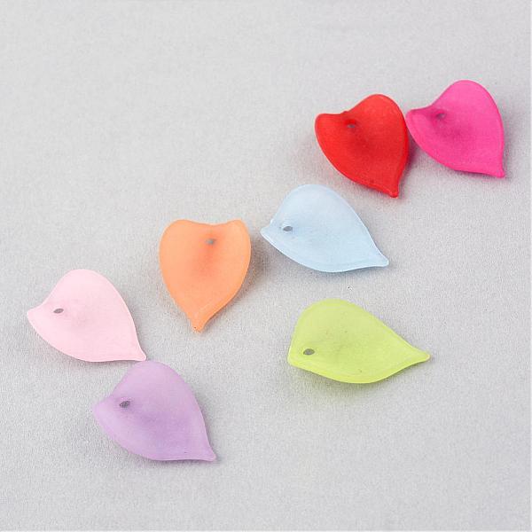 

PandaHall Transparent Acrylic Pendants, Frosted, Leaf, Mixed Color, 20.5x14x2mm, Hole: 2mm, about 1923pcs/500g Acrylic Leaf Multicolor