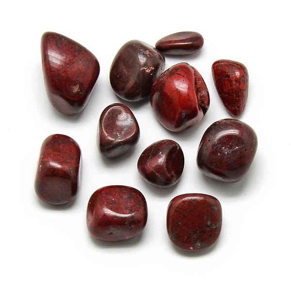 

PandaHall Natural Brecciated Jasper Gemstone Beads, Tumbled Stone, Nuggets, No Hole/Undrilled, 12~28x12~21x7~18mm Brecciated Jasper Nuggets
