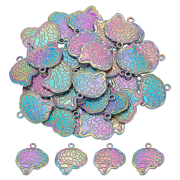 

PandaHall DICOSMETIC 40Pcs 3d Brain Shape Pendant Anatomical Brain Charm Human Anatomy Pendant Rainbow Color Alloy Charm Dangle Charm...
