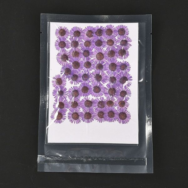 

PandaHall Centaurea Iberica Embossing Dried Flower, for Cellphone, Photo Frame, Scrapbooking DIY Handmade Craft, Medium Orchid...