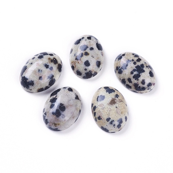 

PandaHall Natural Dalmatian Jasper Cabochons, Oval, 14~14.5x10~10.5x4~5mm Dalmatian Jasper Oval