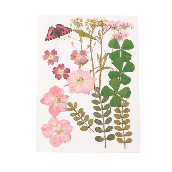 

PandaHall Pressed Dried Flowers, for Cellphone, Photo Frame, Scrapbooking DIY and Resin Art Floral Decors, 137x100x0.3mm Dried Flower Flower..., Pink