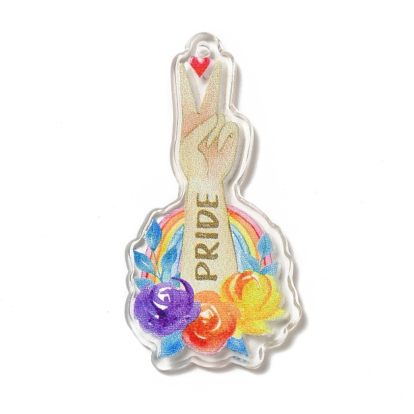 

PandaHall Pride Rainbow Acrylic Pendants, Rose Pattern, 48x24x2.3mm, Hole: 1.7mm Acrylic Flower