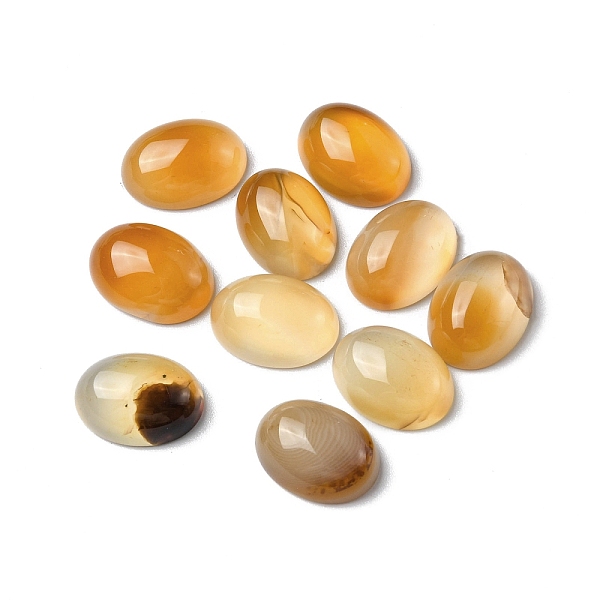 

PandaHall Natural Red Agate Cabochons, Oval, 16x12x6mm Red Agate Oval