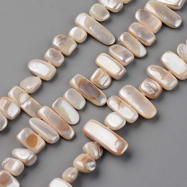 

PandaHall Spray Painted Natural Freshwater Shell Beads Strands, Shell Shards, Chip, Linen, 5~9x8~26x3~6mm, Hole: 0.8mm, about..., Brown