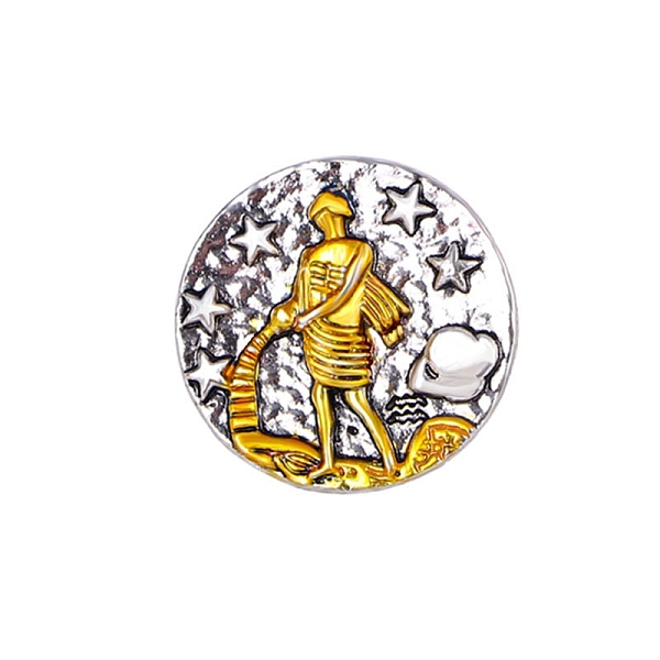 

PandaHall Constellation Alloy Pins, Round Brooch, Zodiac Sign Badge for Clothes Backpack, Aquarius, 18mm Alloy Aquarius