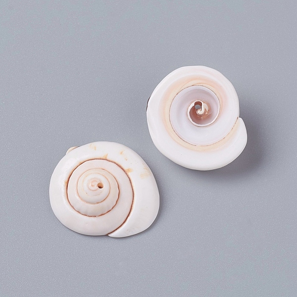 Natural Shiva Eye S… - image
