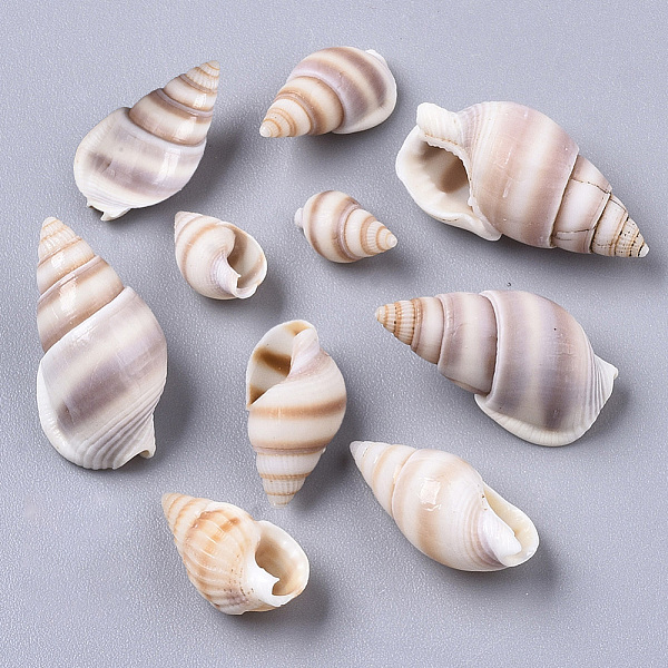 

PandaHall Natural Spiral Shell Beads, Undrilled/No Hole Beads, Bisque, 12~18x6~10x5~8mm Spiral Shell Shell Shape Orange