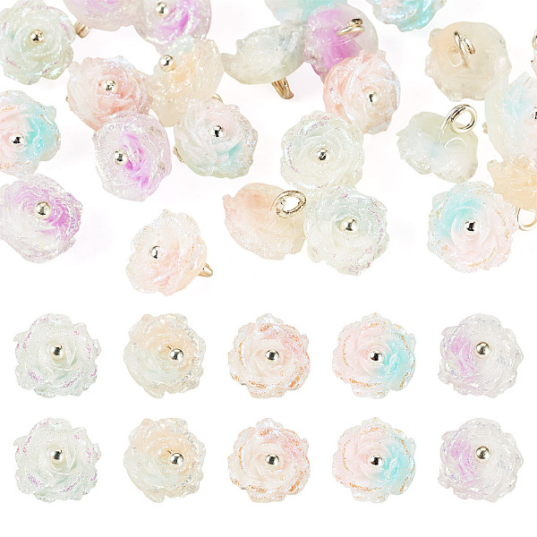 30Pcs 5 Colors Two-tone Resin Charms