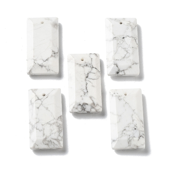 

PandaHall Natural Howlite Pendants, Faceted Rectangle Charms, 25x13x4~4.5mm, Hole: 1mm Howlite Rectangle