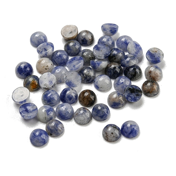 

PandaHall Natural Blue Spot Jasper Cabochons, Half Round, 4x2~2.5mm Blue Spot Jasper Half Round