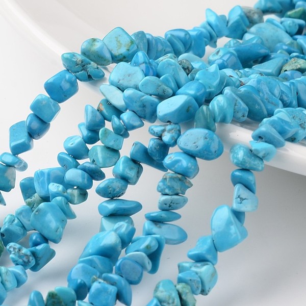 

PandaHall Chip Dyed Natural Magnesite Bead Strands, 4~6x8~12x2~4mm, Hole: 1mm, about 34.6 inch Magnesite Chip