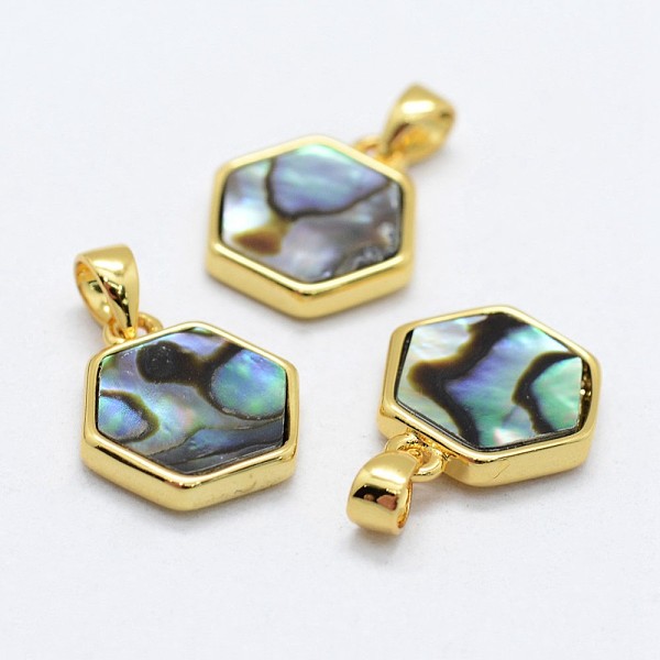 Abalone Shell / Paua Shellcharms