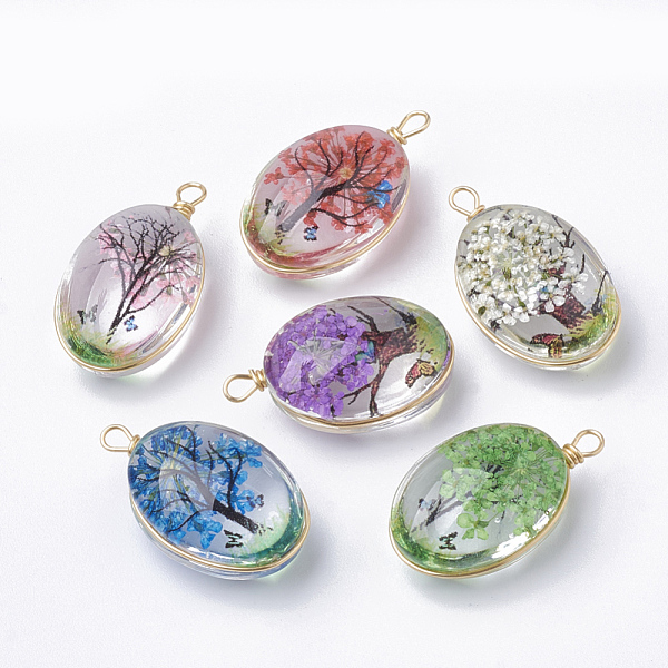 

PandaHall Glass Pendants, with Dried Flower Inside & Brass Findings, Oval, Golden, Mixed Color, 23x13x10mm, Hole: 2mm Brass+Glass Oval..., Multicolor