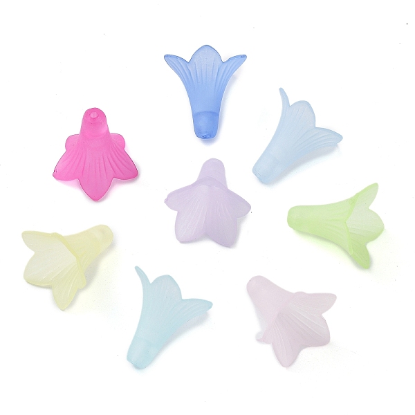 

PandaHall Transparent Acrylic Beads, Frosted, Flower, Mixed Color, 22.5x22x22mm, Hole: 2mm, about 531pcs/500g Acrylic Flower Multicolor