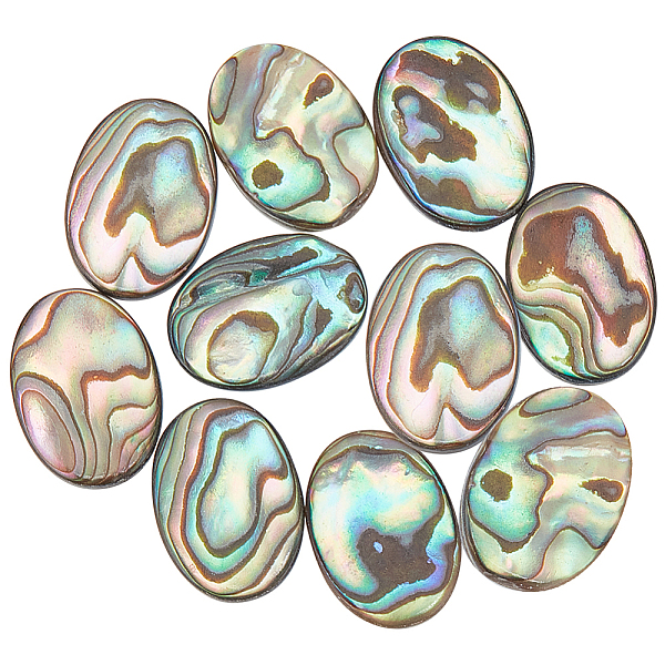 

PandaHall BENECREAT 10Pcs Natural Paua Shell Cabochons, Oval, 14.5x10.5x3mm Paua Shell Oval