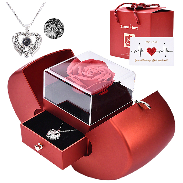 Apple Plastic Storage Gift Boxes