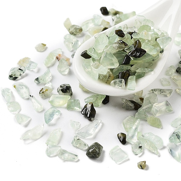 

PandaHall Natural Prehnite Chips Beads, No Hole, 3~9x3~5x1.5~3mm Prehnite Chip
