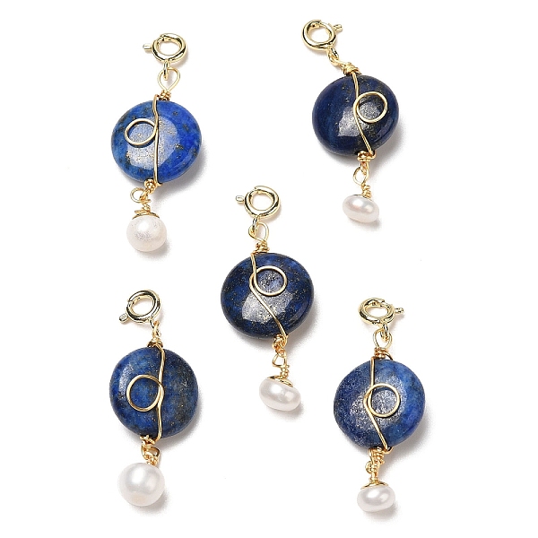 

PandaHall Wire Wrapped Natural Lapis Lazuli Flat Round Pendant Decorations, Natural Pearl Ornament with Brass Spring Ring Clasps, Real 14K...