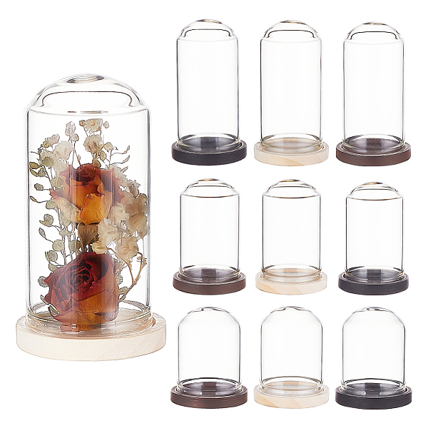 

PandaHall BENECREAT 15Pcs Mini Glass Dome Cover, Decorative Display Case, Cloche Bell Jar, with 15Pcs Wood Base, Mixed Color, Tray Settings..., Multicolor