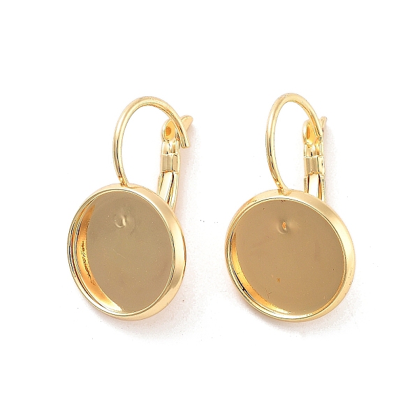 Rack Plating Brass Leberback Earring