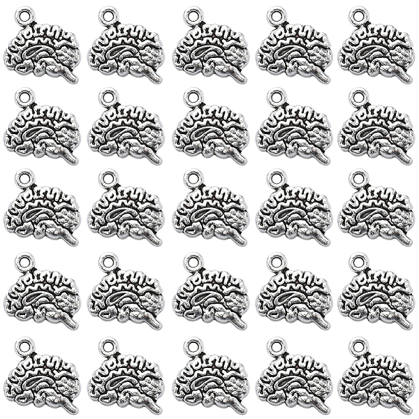 

PandaHall SUNNYCLUE 100Pcs Tibetan Style Alloy Charms, Lead Free & Cadmium Free, Brain, Antique Silver, 12.5x14x3mm, Hole: 1.5mm Alloy...