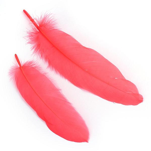 Goose Feather Costu… - image