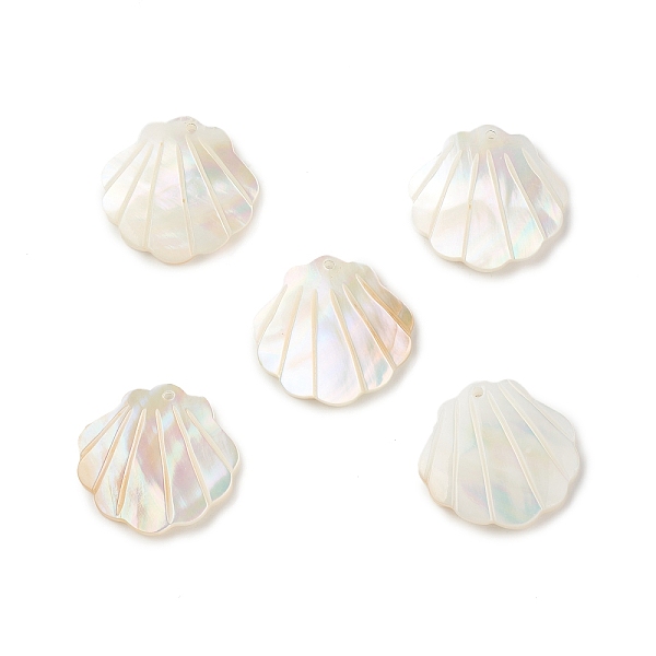 

PandaHall Natural Sea Shell Pendants, Shell Shape Charms, 21x21x1.5mm, Hole: 1mm Shell Shell Shape
