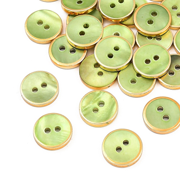 Golden Edge Naturl Black Lip Shell Button