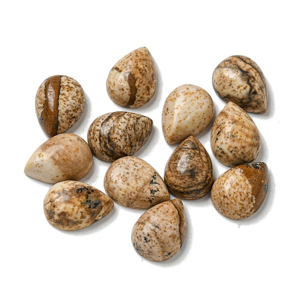 

PandaHall Natural Picture Jasper Cabochons, Teardrop, 8x6x3mm Picture Jasper Teardrop