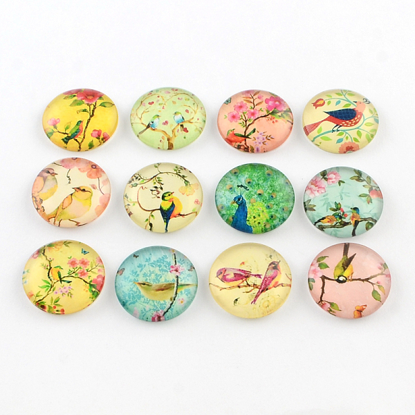

PandaHall Half Round/Dome Bird Pattern Glass Flatback Cabochons for DIY Projects, Mixed Color, 12x4mm Glass Half Round Multicolor