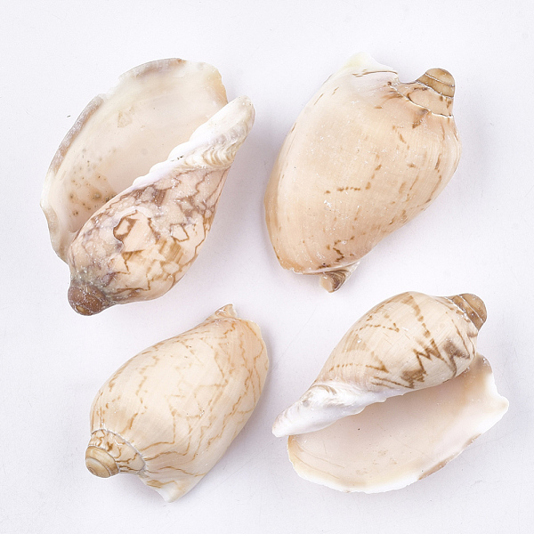 Spiral Shell Beads - image