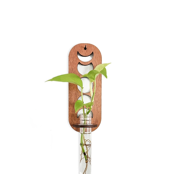 Plant Propagation S… - image