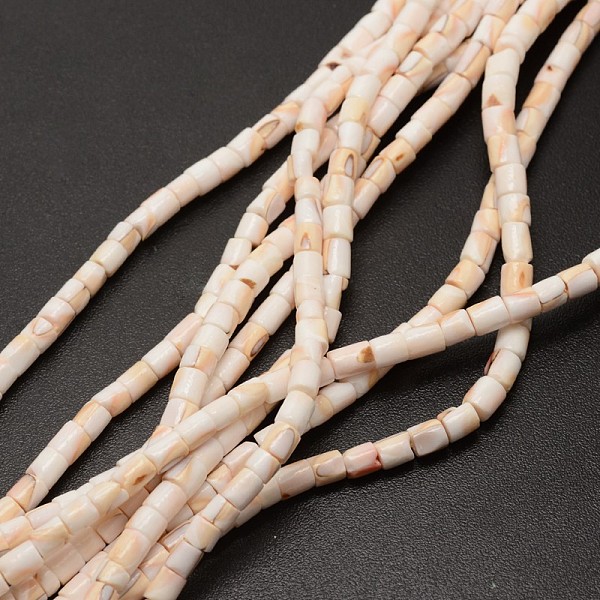 

PandaHall Column Natural Spiral Shell Red Lip Shell Beads Strands, Bisque, 4~5x4~5mm, Hole: 1mm, about 133pcs/strand, 23.6 inch Spiral Shell..., Orange