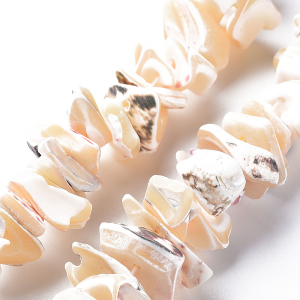 

PandaHall Natural Trochid Shell/Trochus Shell Bead Strands, Nuggets, 8~16x7~13x2~15mm, Hole: 1.2mm, about 39~46pcs/strand, 6.89 inch~7.28...