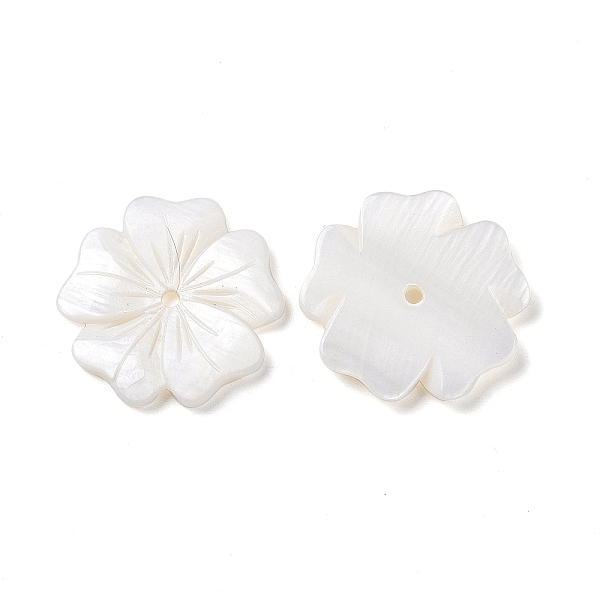 

PandaHall Natural White Shell Beads, Freshwater Shell Beads, Flower, Seashell Color, 23.5~24x24.3~25x2.3~2.8mm, Hole: 1.8mm White Shell...