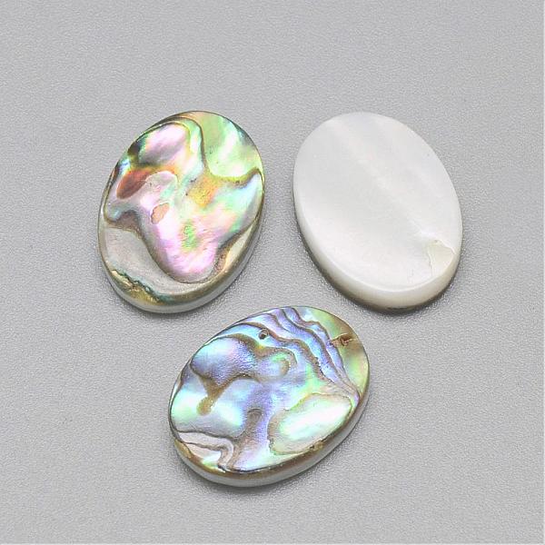 

PandaHall Paua Shell Cabochons, Oval, Colorful, 16x12x3mm Paua Shell Oval