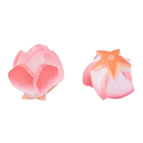 

PandaHall Plastic Beads, Flower, Light Coral, 18x15x14mm, Hole: 1mm Plastic Flower