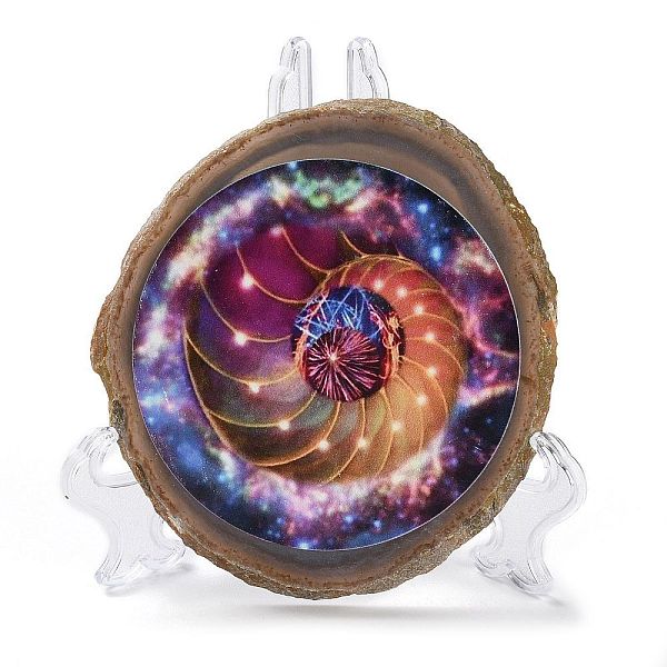 

PandaHall Printed Natural Agate Slice Stone Ornament, for Good Luck Home Office Decor, Shell Shape, 100~125x105~150x7.5~8mm Natural Agate..., Multicolor