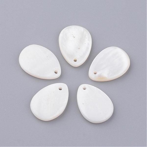 Freshwater Shell Pe… - image