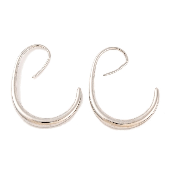 Brass Ear Wire - image