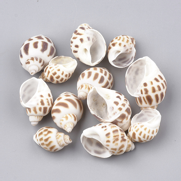 

PandaHall Spiral Shell Beads, No Hole/Undrilled, Camel, 20~33.6x13~23x10~20mm Spiral Shell Shell Shape Brown