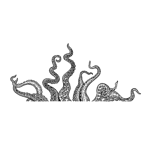 

PandaHall PVC Wall Stickers, Wall Decoration, Tentacle Pattern, 980x390mm, 2 sheets/set PVC Other Animal Black